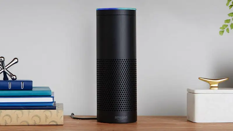 Voice assistant setup Kansas City Metro - Alexa and Google Home integration